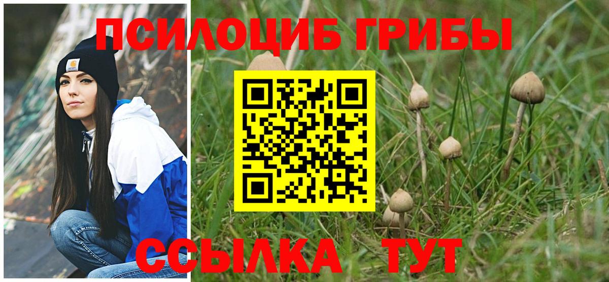 Галлюциногенные грибы мицелий Городец