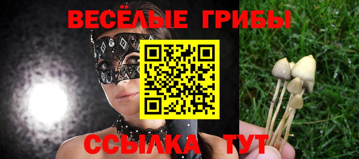 Городец  Псилоцибиновые грибы мухоморы  Вход с VPN  Псилоцибиновые грибы Psilocybe 